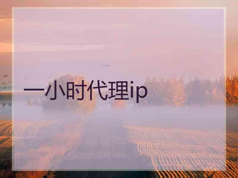 一小时代理ip