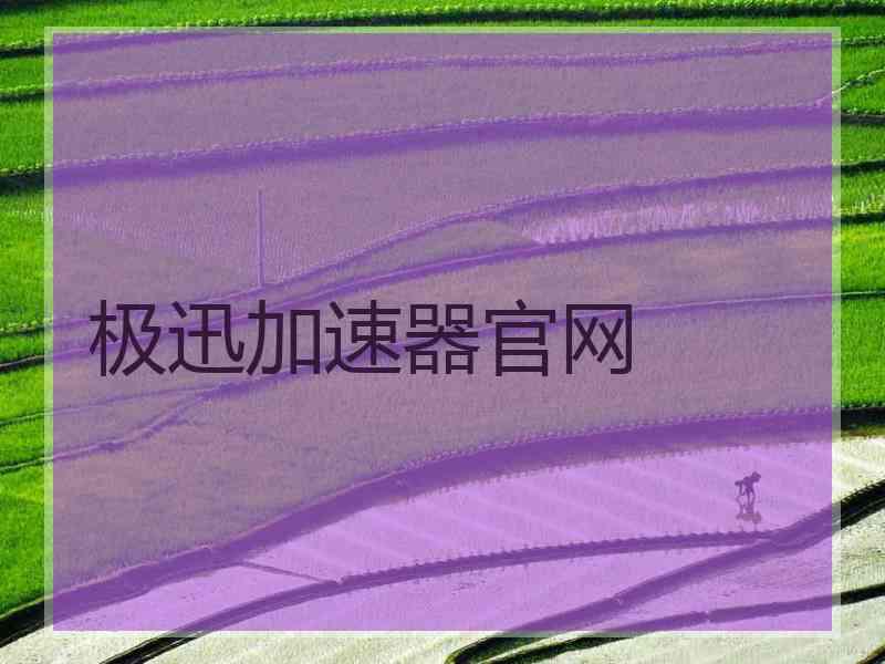 极迅加速器官网