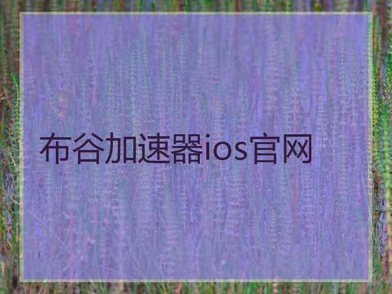 布谷加速器ios官网