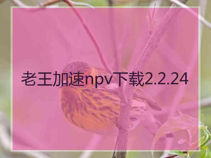 老王加速npv下载2.2.24