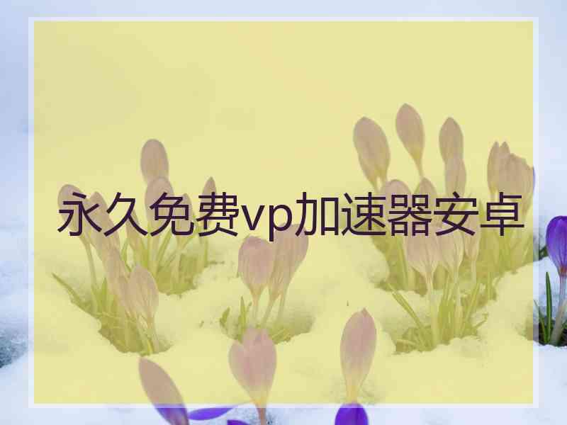 永久免费vp加速器安卓