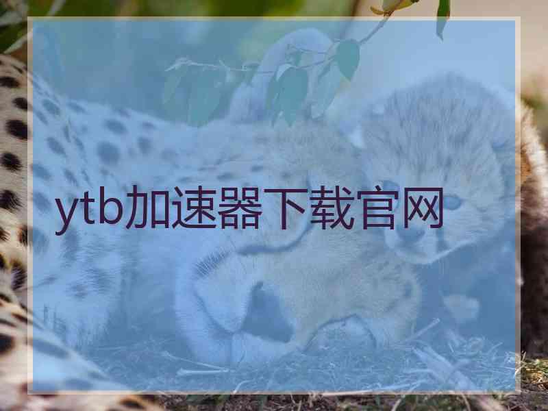 ytb加速器下载官网