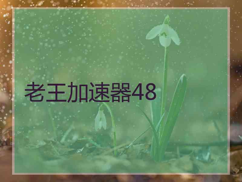 老王加速器48