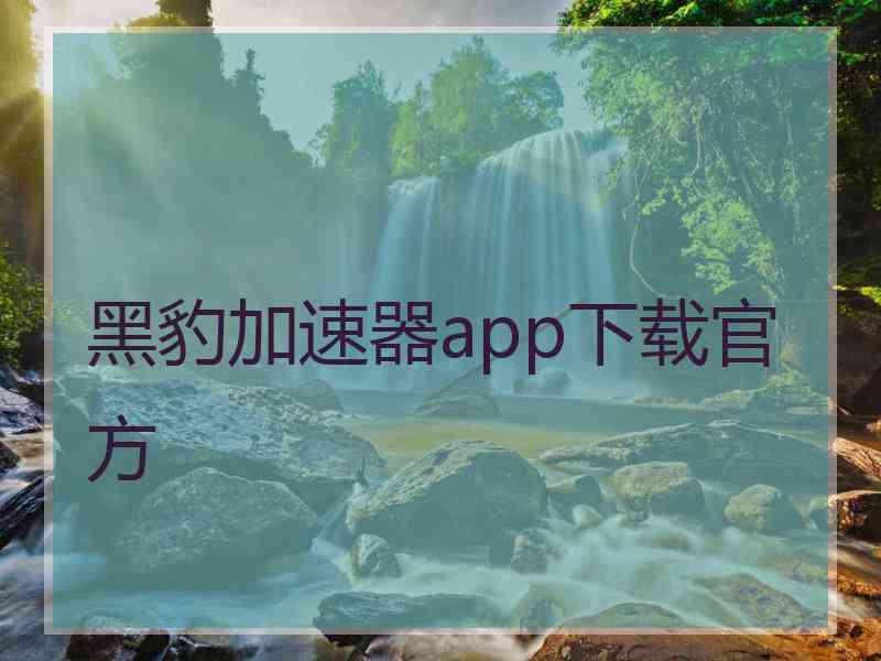 黑豹加速器app下载官方