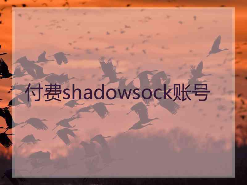 付费shadowsock账号