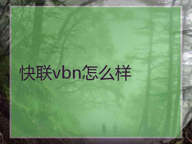 快联vbn怎么样