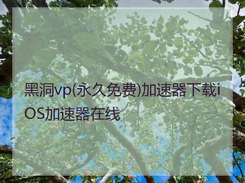 黑洞vp(永久免费)加速器下载iOS加速器在线