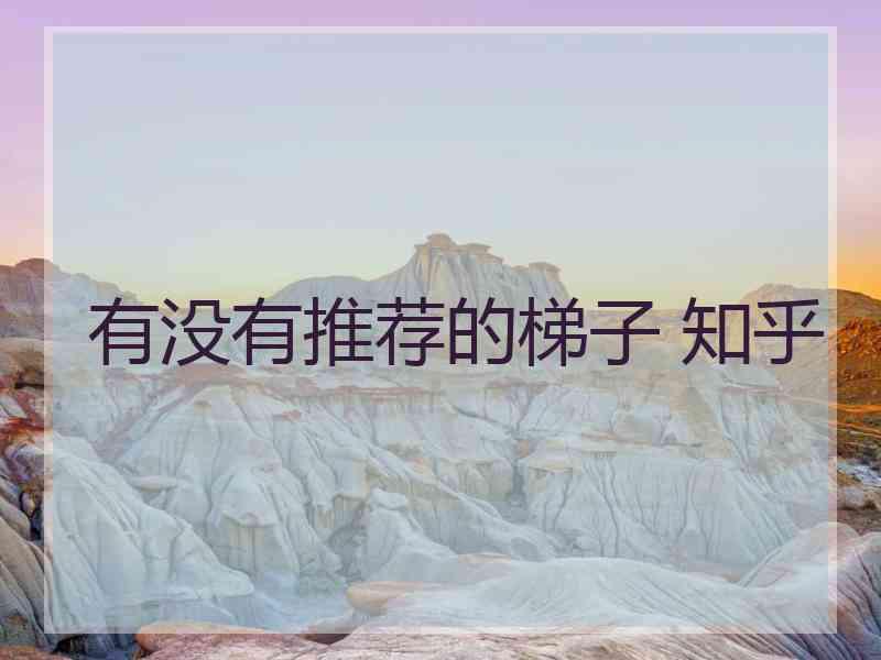 有没有推荐的梯子 知乎