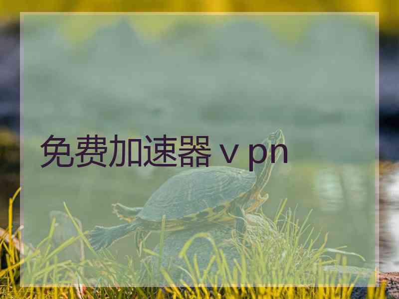 免费加速器ⅴpn