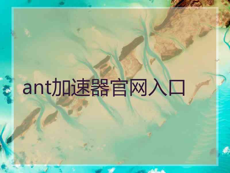 ant加速器官网入口