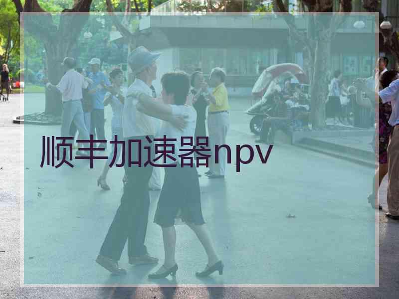 顺丰加速器npv