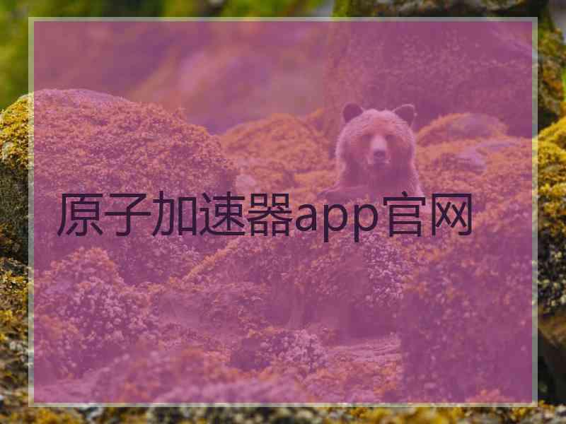 原子加速器app官网