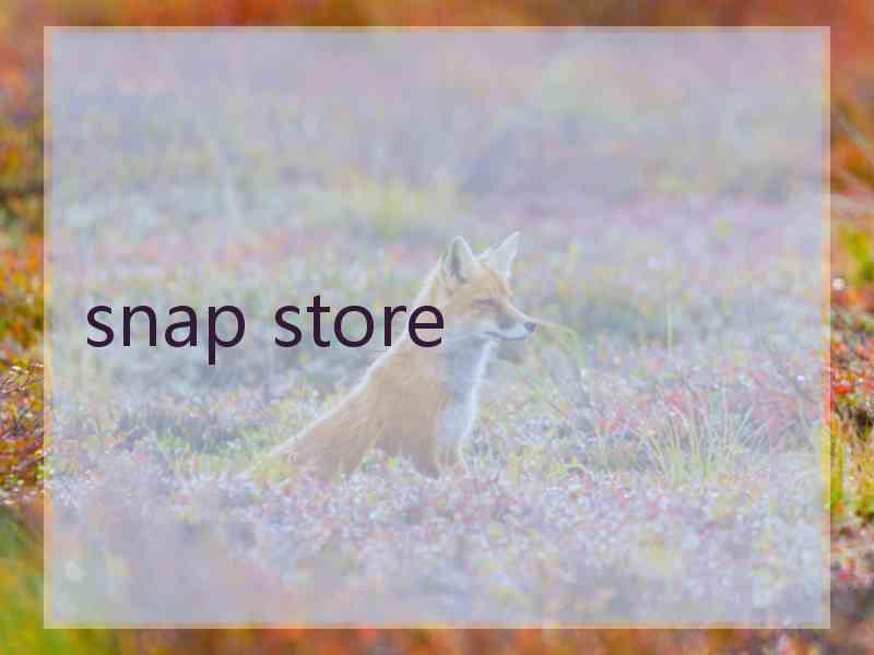 snap store