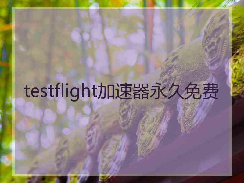 testflight加速器永久免费