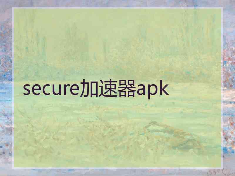 secure加速器apk