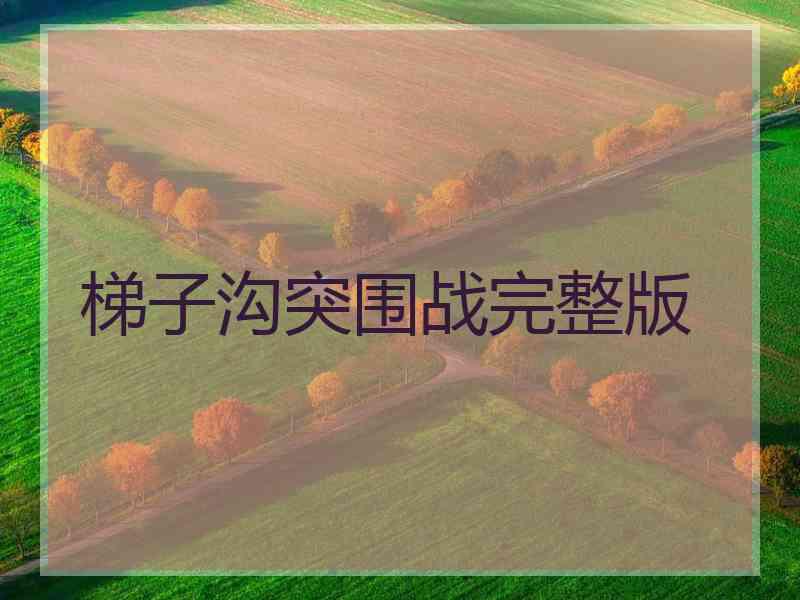 梯子沟突围战完整版
