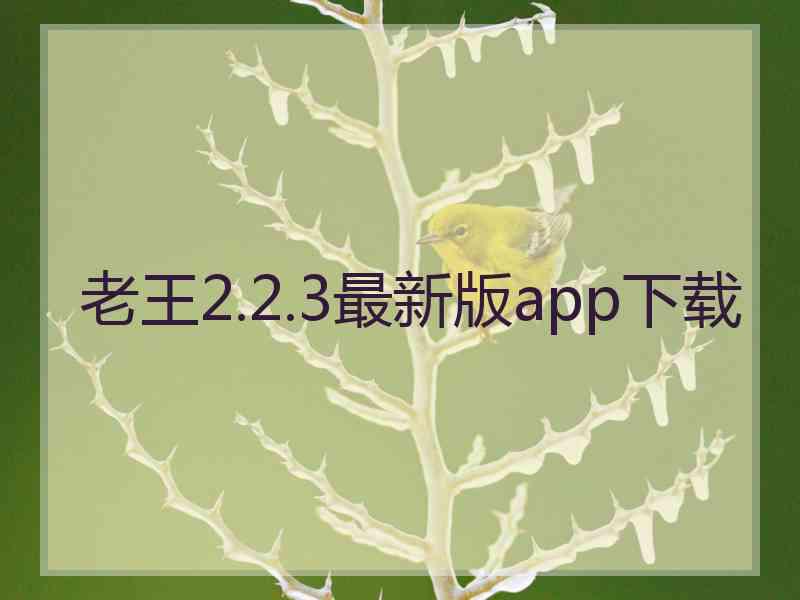 老王2.2.3最新版app下载