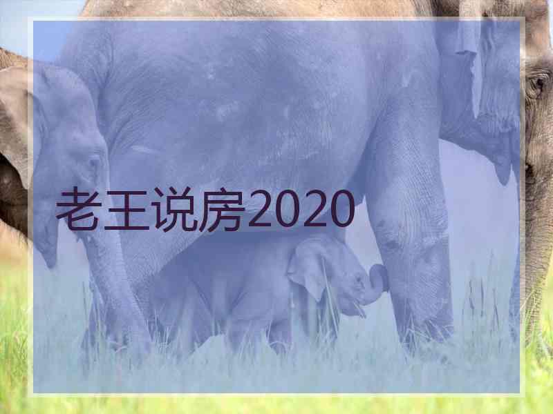 老王说房2020