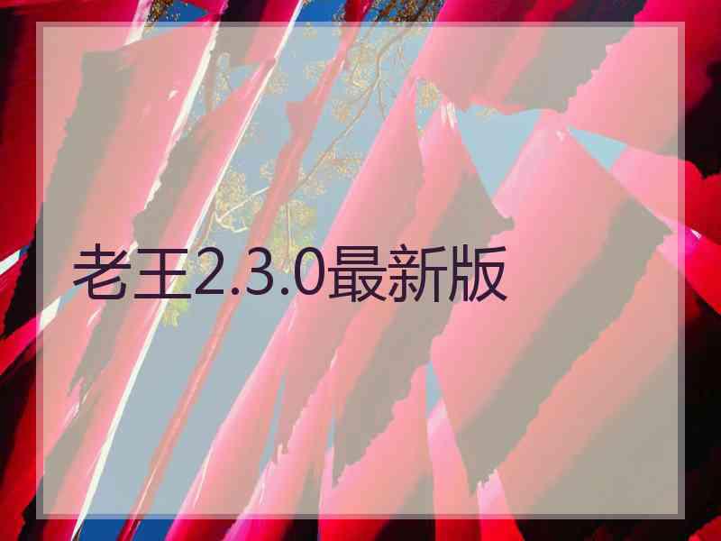 老王2.3.0最新版