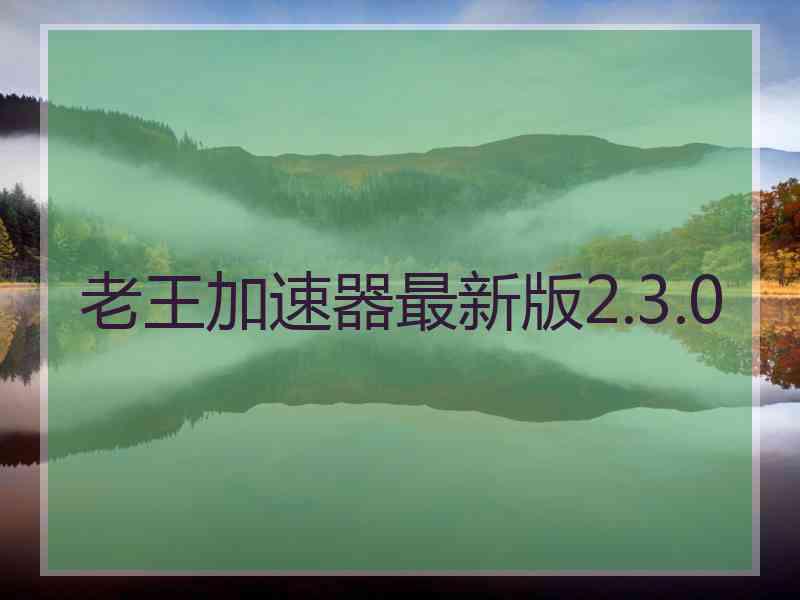 老王加速器最新版2.3.0