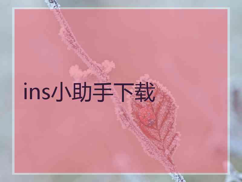 ins小助手下载