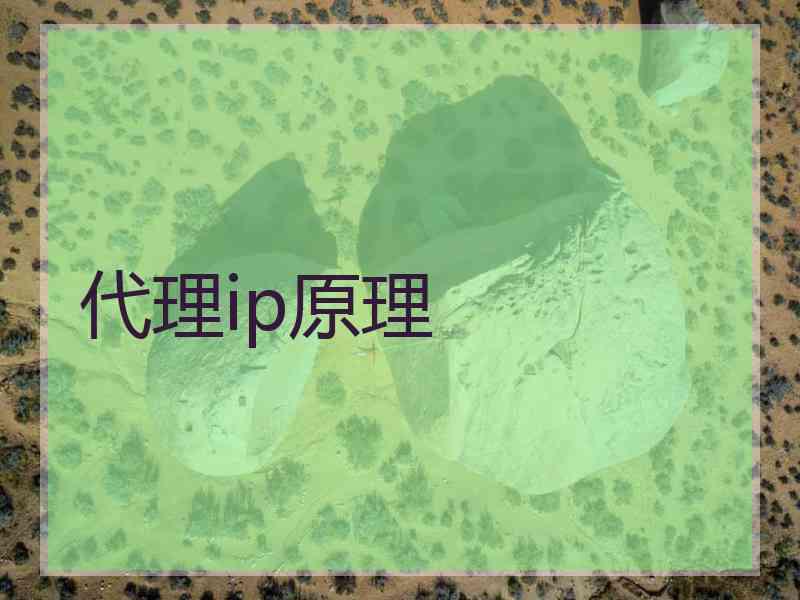 代理ip原理