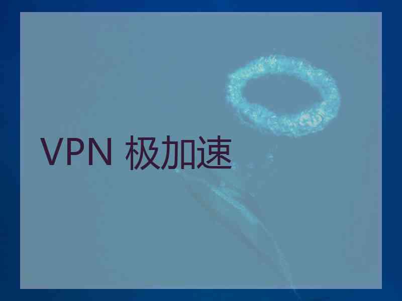 VPN 极加速