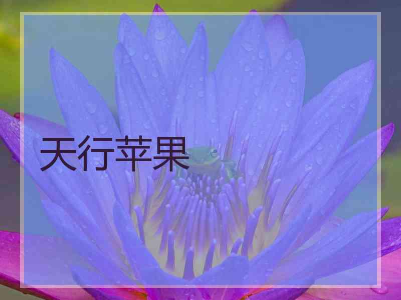 天行苹果