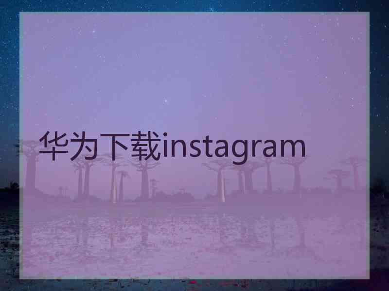 华为下载instagram