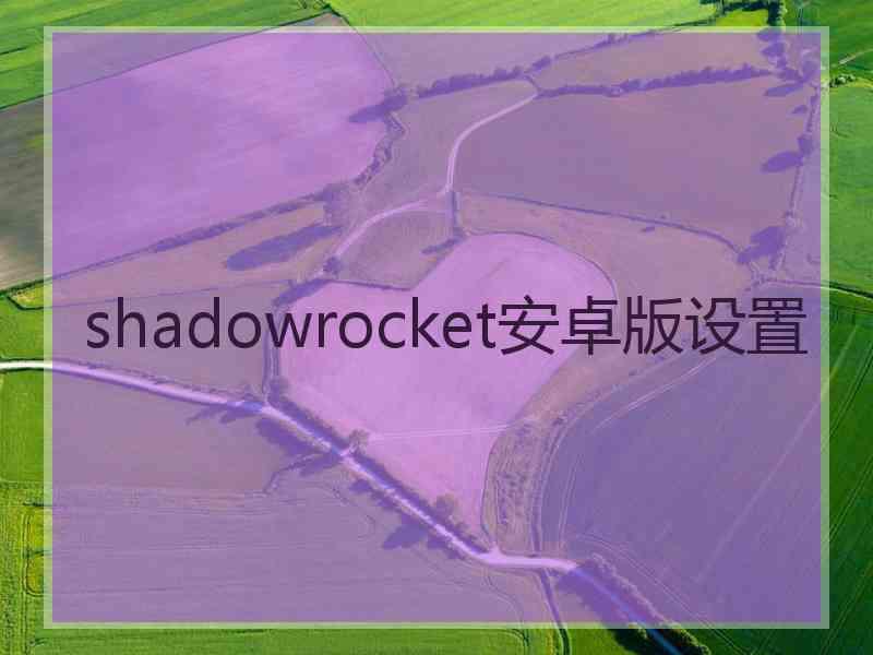 shadowrocket安卓版设置