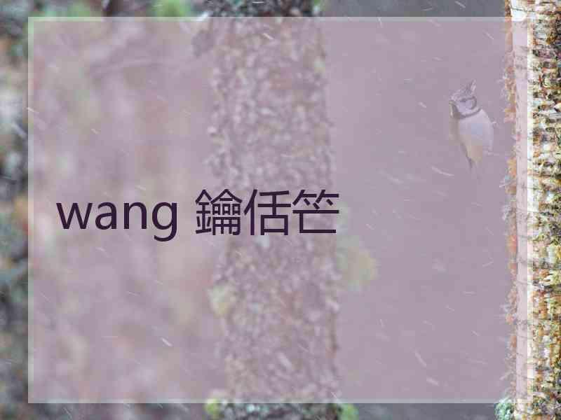 wang 鑰佸笀