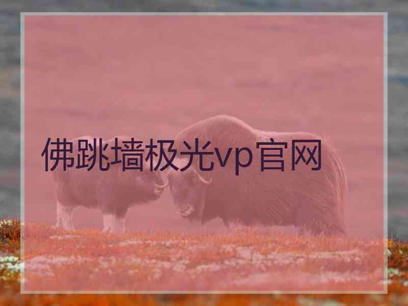 佛跳墙极光vp官网