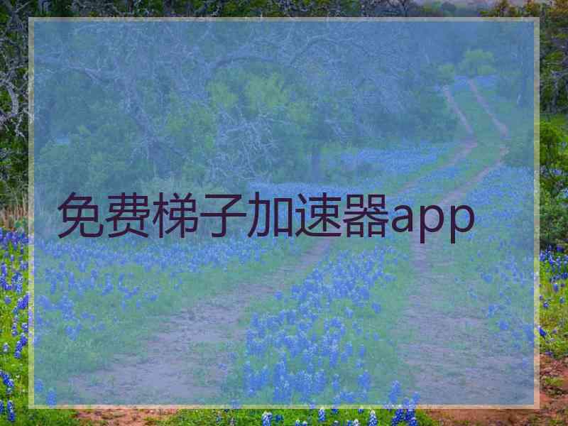 免费梯子加速器app