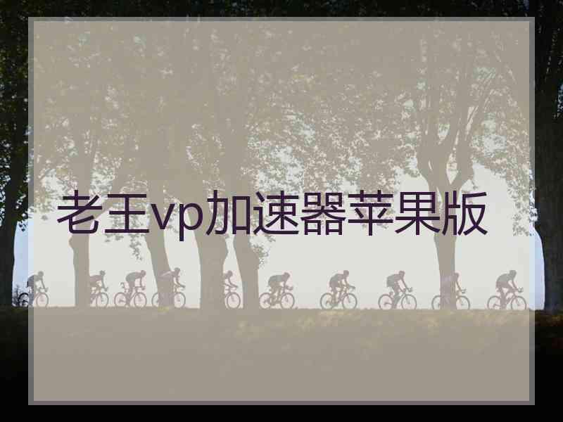 老王vp加速器苹果版