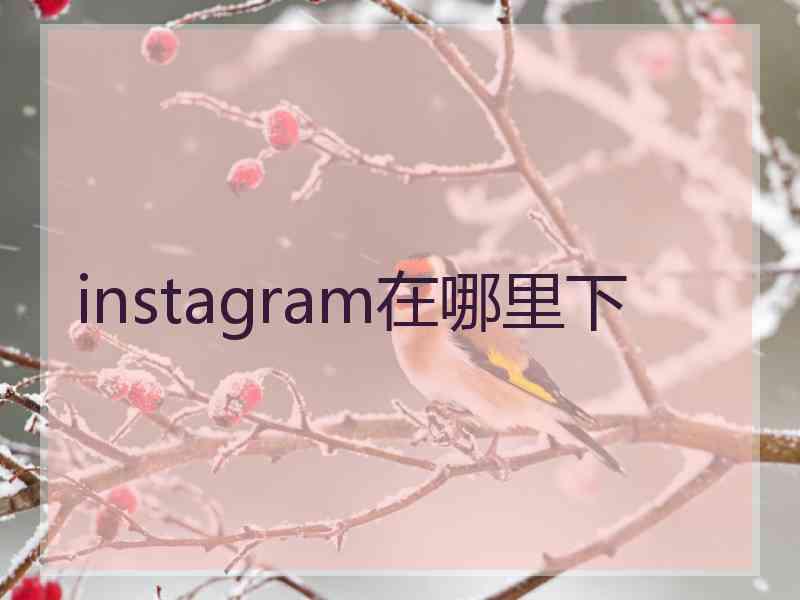 instagram在哪里下