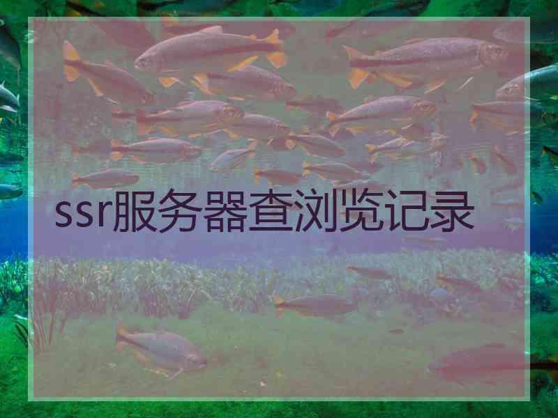 ssr服务器查浏览记录