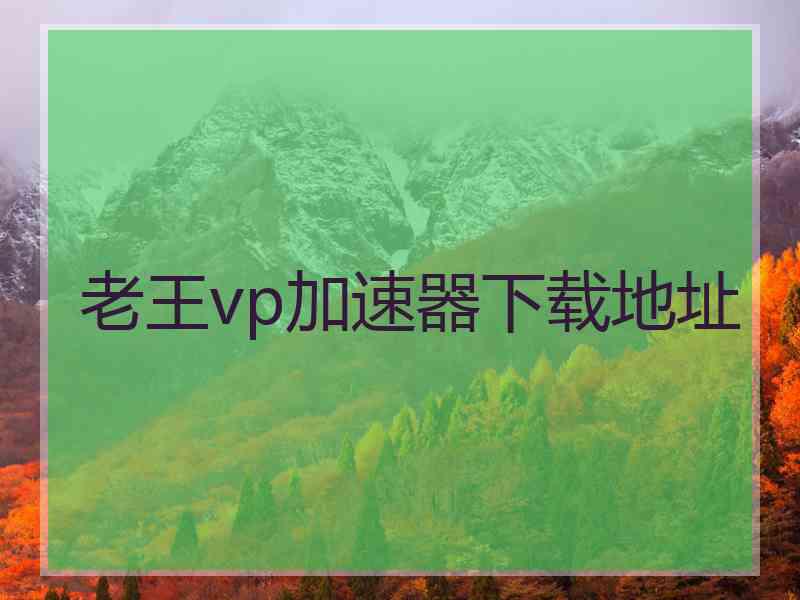 老王vp加速器下载地址