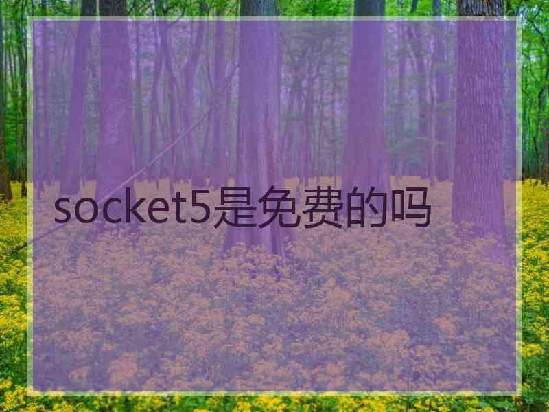 socket5是免费的吗