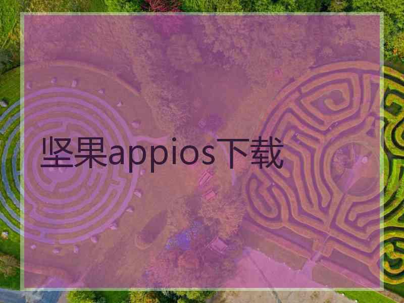 坚果appios下载