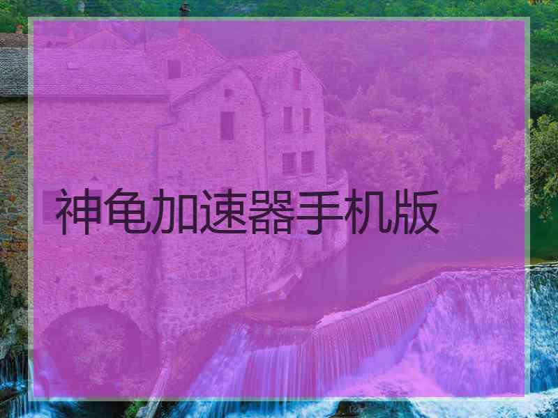 神龟加速器手机版