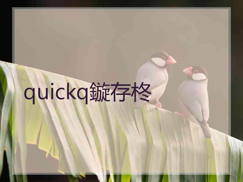 quickq鏇存柊