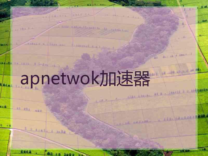 apnetwok加速器