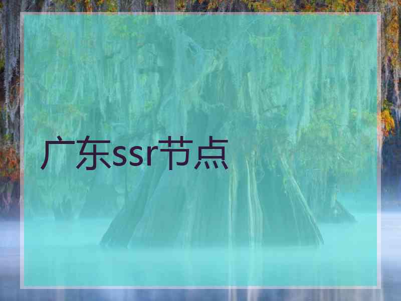 广东ssr节点