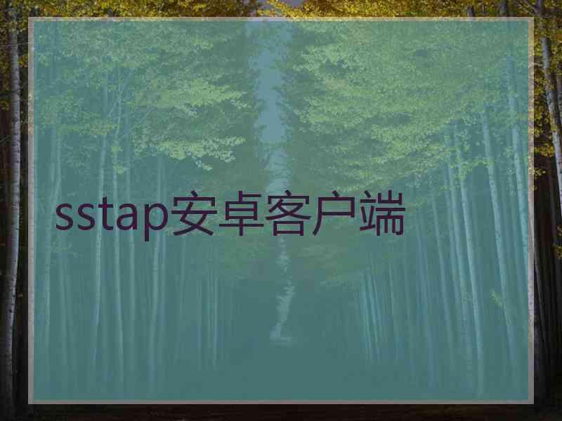 sstap安卓客户端