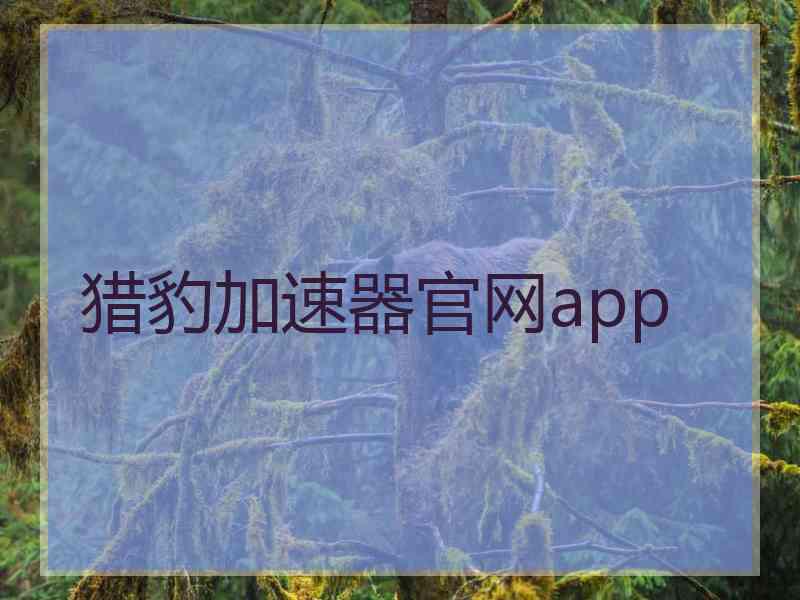 猎豹加速器官网app