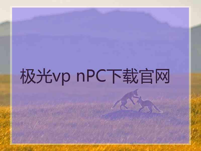 极光vp nPC下载官网