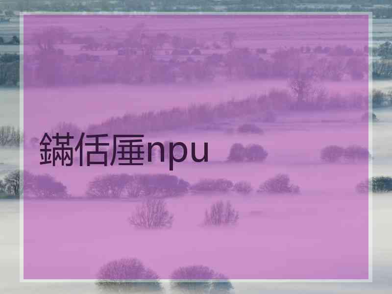 鏋佸厜npu