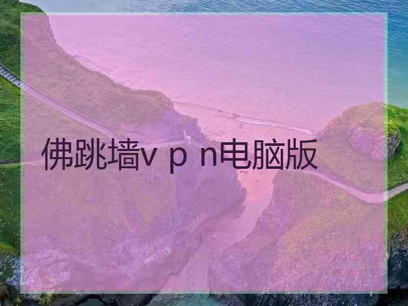 佛跳墙v p n电脑版