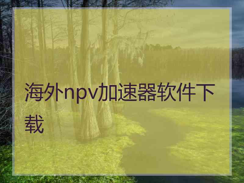 海外npv加速器软件下载