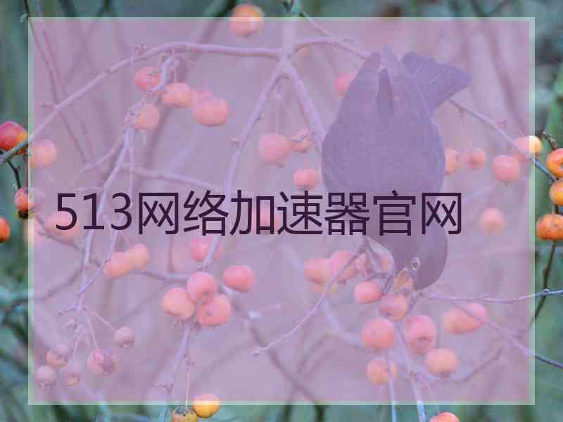 513网络加速器官网